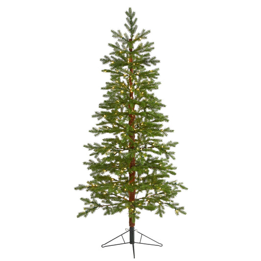 6.5' Fairbanks Fir Artificial Christmas Tree with 250 Clear Warm (Multifunction) LED Lights and 208 Bendable Branches