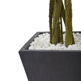 6' Ficus Tree with Slate Planter UV Resistant (Indoor Outdoor)