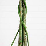 6.5' UV Resistant Artificial Ficus Tree (Indoor/Outdoor)