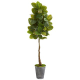 65” Rubber Leaf Artificial Tree in Decorative Tin Planter (Real Touch)