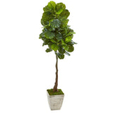 67” Fiddle Leaf Artificial Tree in Country White Planter (Real Touch)