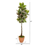67” Variegated Rubber Leaf Artificial Tree in Terra-Cotta Planter (Real Touch)