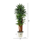 69” Dracaena Artificial Tree in Decorative Planter
