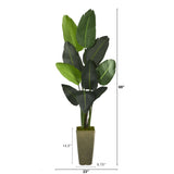 69” Traveler's Palm Artificial Tree in Green Planter