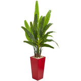 69” Traveler's Palm Artificial Tree in Red Planter