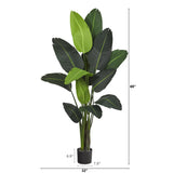 69” Traveler's Palm Artificial Tree