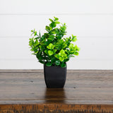 7” Artificial Assorted Green Plant in Black Square Pot - Set of 4