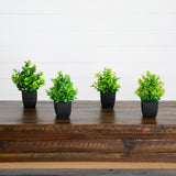 7” Artificial Assorted Green Plant in Black Square Pot - Set of 4