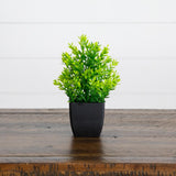7” Artificial Assorted Green Plant in Black Square Pot - Set of 4