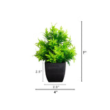 7” Artificial Cedar in Black Square Pot - Set of 3