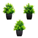 7” Artificial Cedar in Black Square Pot - Set of 3