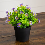 7" Artificial Daisy Plant in Black Pot - Set of 3