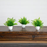 7” Artificial Fern in White Round Pot - Set of 3