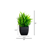 7” Artificial Grass Plant in Black Square Pot - Set of 4