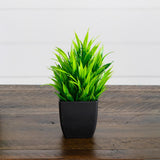 7” Artificial Grass Plant in Black Square Pot - Set of 4