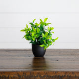 7” Artificial Mixed Botanical Plant in Black Square Pot - Set of 4
