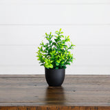 7” Artificial Mixed Botanical Plant in Black Square Pot - Set of 4