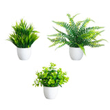 7” Artificial Mixed Evergreen Plant in White Round Pot - Set of 3
