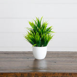7” Artificial Mixed Evergreen Plant in White Round Pot - Set of 3