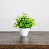7” Artificial Mixed Evergreen Plant in White Round Pot - Set of 3