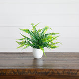 7” Artificial Mixed Evergreen Plant in White Round Pot - Set of 3