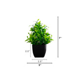 7” Artificial Mixed Topiary Plant in Black Square Pot - Set of 4