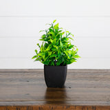 7” Artificial Mixed Topiary Plant in Black Square Pot - Set of 4