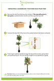 7’ Double Robellini Palm Tree UV Resistant (Indoor/Outdoor)