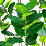 7' Artificial Minimalist Audrey Ficus Tree
