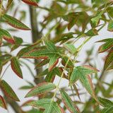 7' Autumn Nandina Artificial Fall Tree