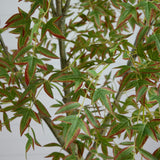 7' Autumn Nandina Artificial Fall Tree