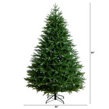 7' Pre-Lit Artificial Luxembourg Pine Christmas Tree with 340 Multicolored Traditional Bulb LED Lights