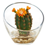 7” Mixed Succulent Artificial Plant in Glass Vase (Set of 3)