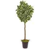 77” Variegated Aralia Artificial Tree in Metal Planter