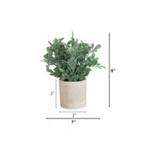 8" Artificial Boxwood in Decorative Planter - Set of 2