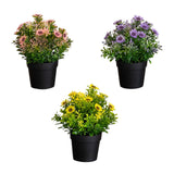 8" Artificial Flowering Daisy in Black Pot - Set of 3