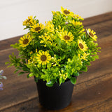 8" Artificial Flowering Daisy in Black Pot - Set of 3
