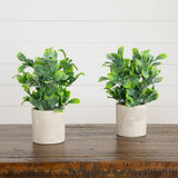 8" Artificial Greenery in Decorative Planter - Set of 2