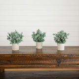 8" Artificial Lambs Ear in Decorative Planter - Set of 3