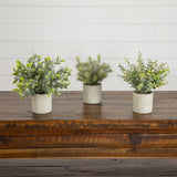 8” Artificial Mini Eucalyptus Potted Plants - Set of 3