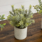 8” Artificial Mini Eucalyptus Potted Plants - Set of 3