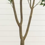 7' Artificial Olive Tree in White Decorative Planter