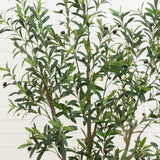 7' Artificial Olive Tree in White Decorative Planter