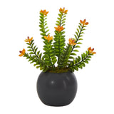9” Flowering Sedum Succulent Artificial Plant in Black Planter