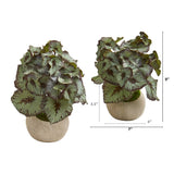 9” Rex Begonia Artificial Plant in Stone Gray Planter (Set of 2)