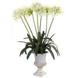 African Lily w/Urn
