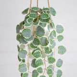 Artificial Wandering Jew & String of Hearts Hanging Plant - Set of 2