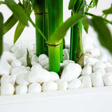 Bamboo Tree with White Planter UV Resistant (Indoor/Outdoor)