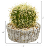 Cactus Artificial Plant in Weathered Oak Planter