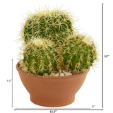 Cactus Garden Artificial Plant in Decorative Planter